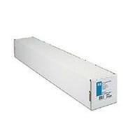 HP Professional Matte Canvas (42 Inches x 50 Feet Roll)