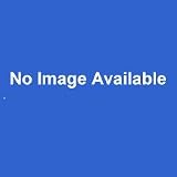 ACDelco 24203479 Piston by ACDelco