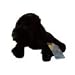 Webkinz Black Lab Dog
