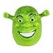 Shrek Antenna Ball Topper Image