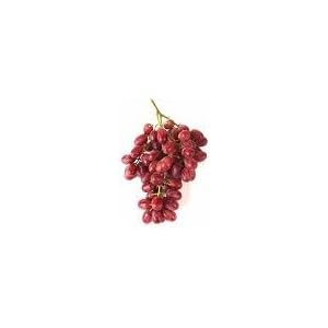 2 Catawba Grape Vines