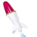 Water Rocket