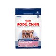 Royal Canin Maxi Breed Baby Dog 30 Formula Dry Dog Food (26-lb bag)