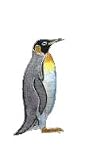 Clearly Charming King Penguin Silver and Enamel Pin