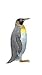 Jewelry : Clearly Charming King Penguin Silver and Enamel Pin