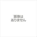 遠赤外線ヒーターENSEKI標準タイプ(単相100V) EK-10RS