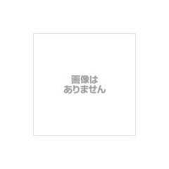 三菱 加湿器交換用気化フィルターMITSUBISHI SVPR-112FT