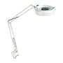Ledu Fluorescent Magnifier Lamp