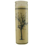K Hall SNOW SOY & BEESWAX CANDLE LARGE PRINTED GLASS. BURNS APPROX. 100 HRS. thumbnail