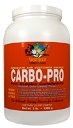 Sport Quest Carbo-Pro