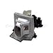 Optoma Replacement Lamps