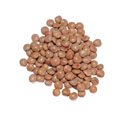 LENTILS, BROWN ( SPANISH PARDINA ), 12 - 12 oz. bags by Angelina's Gourmet