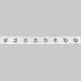 Progress Lighting Broadway Polished Chrome Eight-Light Bath Fixture