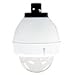 Pendant Fusion Dome Outdoor