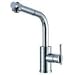 Danze D404558SS Parma Single-Handle Kitchen Faucet with Pull Out Spout, Stainless Steel