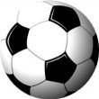 Soccer Ball Car Magnet