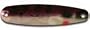 Warrior Lures Purple Perch 2 1/4" Little Warrior fishing trolling spoon for salmon & walleye