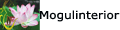 Mogul Interior