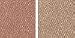 Anastasia Brow Ex-press Brunette