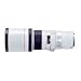 Canon EF 400mm f/5.6L USM Super Telephoto Lens for Canon SLR Cameras