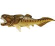 Wild Safari Dunkleosteus