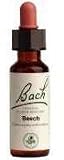 Bach - Beech 20 Ml