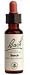 Beech 20 Ml By Bach