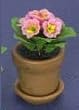Dollhouse Miniature Pink Primula in a Clay Pot with Saucer