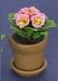 Dollhouse Miniature Pink Primula in a Clay Pot with Saucer