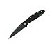 Kershaw Ken Onion Black Leek Folding Knife with Speed Safe