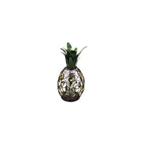 Outdoor Garden Backyard Pineapple Feeder