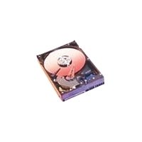80GB SATA Western Digital 7200RPM 8MB WD800JD