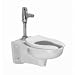 American Standard Wall Mounted Retrofit Flush Valve Toilet with Back Spud with Slotted Rim for Bed P