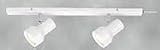  : Westinghouse - 66724