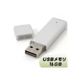 WINTEN WTUPD-16GB USBメフラッシュモリー 16GB 無地 ストラップ＆予備のフタ付き