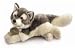 Gray Wolf 10" Yomiko