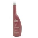 Back To Basics Vanilla Plum Fortifying Conditioner 33.8 oz.