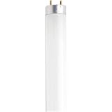Osram Sylvania F18t8/Cw/K24v 18w Cool White