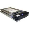 42D0410 IBM 300 GB in T