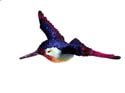Clark Collection Hummingbird Window Magnet CC1406001