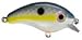Strike King Bitsy Minnow Bait (Sexy Shad, 0.125-Ounce)
