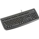Logitech Deluxe 250 OEM USB Black Single English Hebrew Keyboard w  White English and Gold... by Logitech