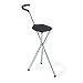 Folding Cane Seat