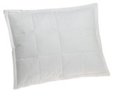 240-Thread-Count Down Top Standard Pillow
