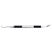 Health & Personal Care : Tweezerman Professional Master Tech Ingrown Toenail File & Cleaner