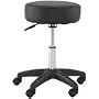 Deluxe Adjustable Rolling Stool