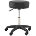Deluxe Adjustable Rolling Stool