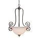 Jeremiah Lighting - 22233-VW : THE WESLEY 3 LT INV PENDANT
