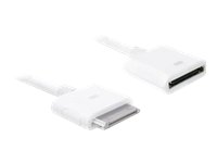 DELOCK Daten- u. Ladekabel fuer iPhone 2/3/4 und iPod nano 1m weiss