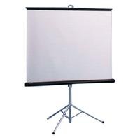 Draper 213004 Draper Screen 84